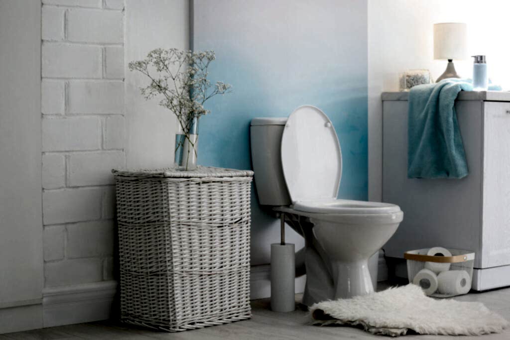 bathroom plumbing, toilet installation, shower services