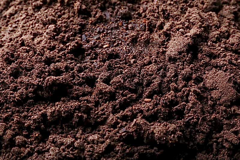 close up of a mound of dark brown soil